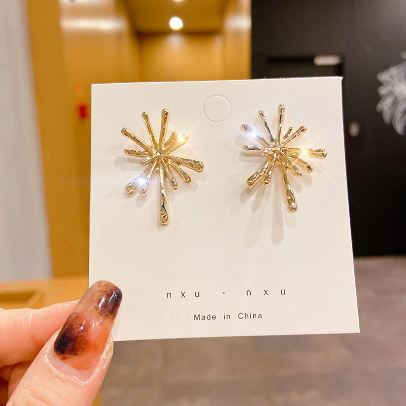 925 Silver Needle Earrings Women's Floor Stand Night Market Source Korean Fashion New Popular Earrings Wholesale Popular Earrings